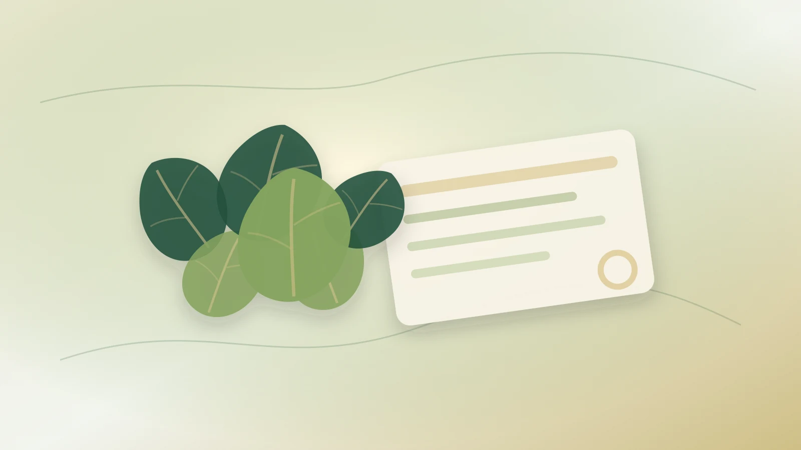 Residue Testing for Bay Leaves: A Practical Importer Checklist