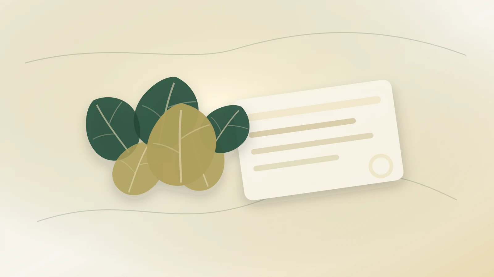 Private Label Bay Leaves: Specification Points Buyers Should Confirm